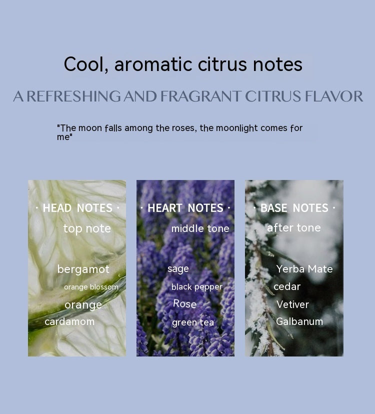LuxeGlow Aromatic Citrus Perfume | A Long-Lasting Fresh Scent